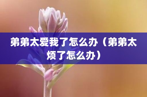 弟弟太爱我了怎么办（弟弟太烦了怎么办）