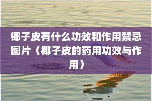 椰子皮有什么功效和作用禁忌图片（椰子皮的药用功效与作用）