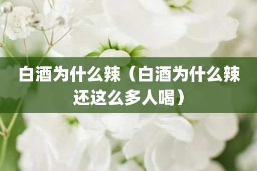 白酒为什么辣（白酒为什么辣还这么多人喝）