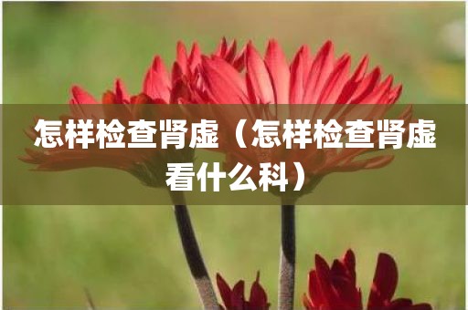怎样检查肾虚（怎样检查肾虚看什么科）