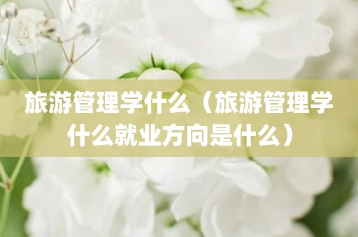 旅游管理学什么（旅游管理学什么就业方向是什么）