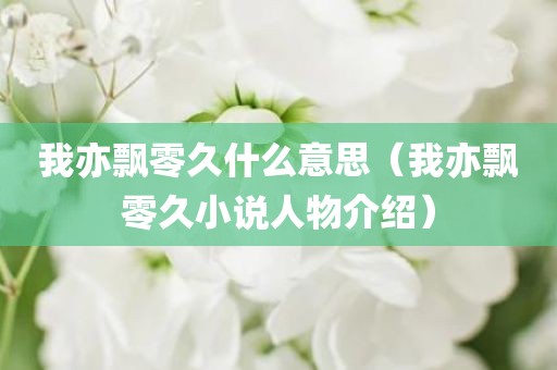 我亦飘零久什么意思(我亦飘零久小说人物介绍)