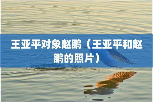 王亚平对象赵鹏（王亚平和赵鹏的照片）