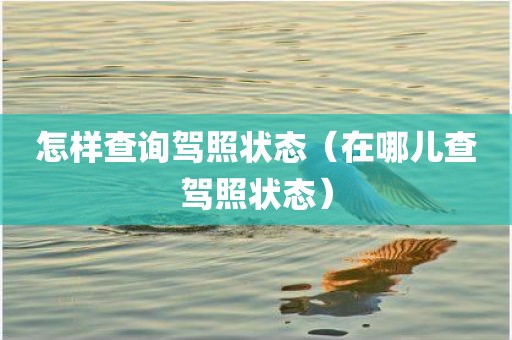 怎样查询驾照状态（在哪儿查驾照状态）
