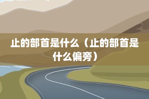 止的部首是什么（止的部首是什么偏旁）