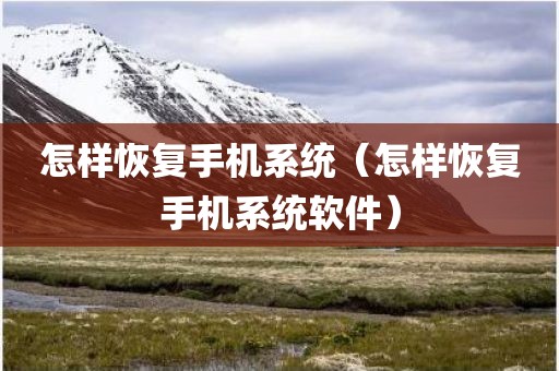怎样恢复手机系统（怎样恢复手机系统软件）