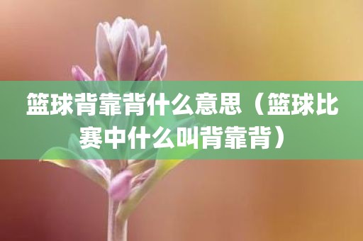 篮球背靠背什么意思(篮球比赛中什么叫背靠背)