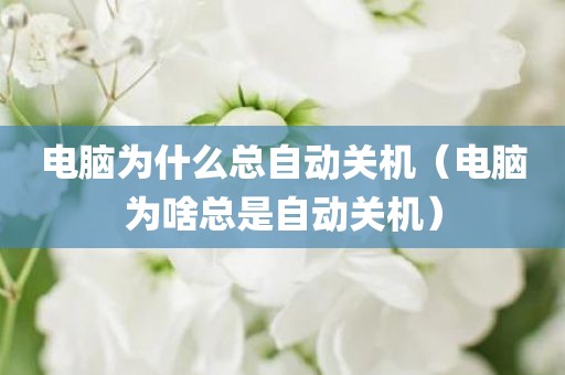 电脑为什么总自动关机（电脑为啥总是自动关机）