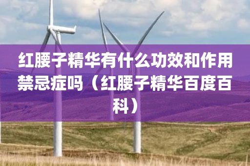 红腰子精华有什么功效和作用禁忌症吗（红腰子精华百度百科）