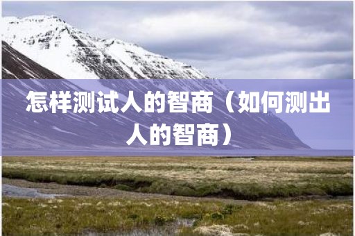 怎样测试人的智商（如何测出人的智商）