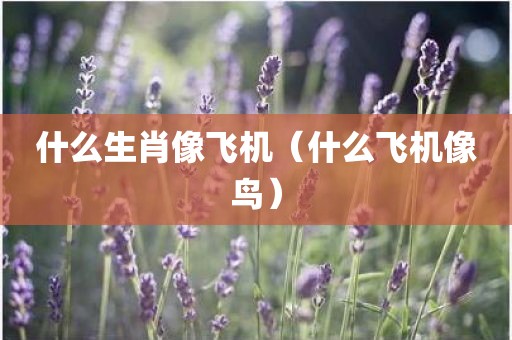 什么生肖像飞机（什么飞机像鸟）