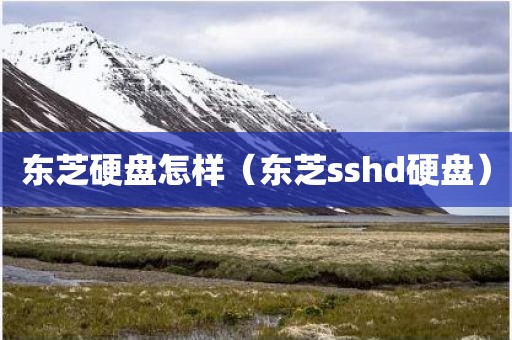 东芝硬盘怎样（东芝sshd硬盘）