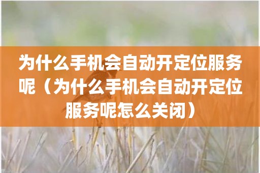 为什么手机会自动开定位服务呢（为什么手机会自动开定位服务呢怎么关闭）