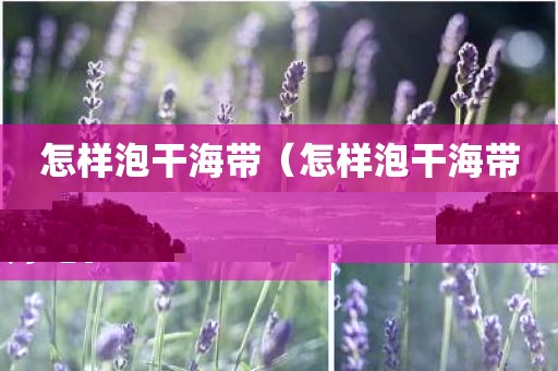 怎样泡干海带（怎样泡干海带好吃）