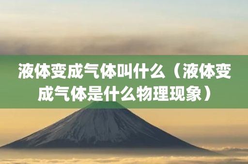 液体变成气体叫什么（液体变成气体是什么物理现象）