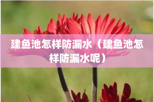 建鱼池怎样防漏水（建鱼池怎样防漏水呢）