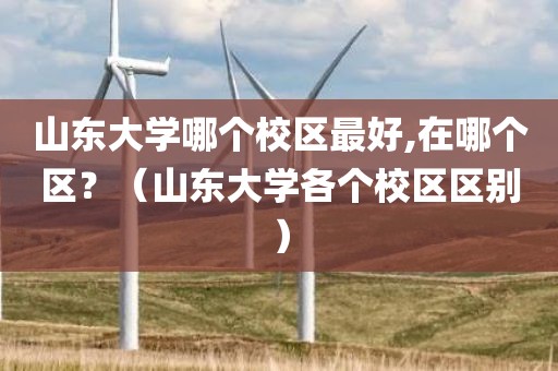 山东大学哪个校区最好,在哪个区？（山东大学各个校区区别）