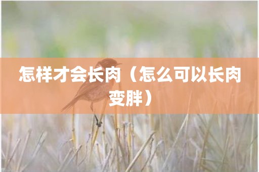 怎样才会长肉（怎么可以长肉变胖）