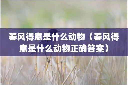 春风得意是什么动物（春风得意是什么动物正确答案）