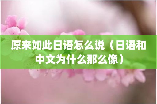 原来如此日语怎么说（日语和中文为什么那么像）