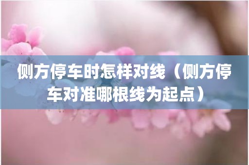 侧方停车时怎样对线（侧方停车对准哪根线为起点）