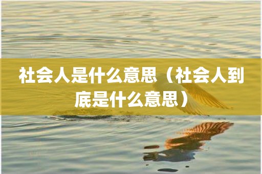 社会人是什么意思（社会人到底是什么意思）