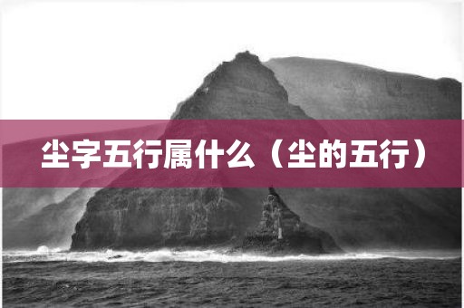 尘字五行属什么（尘的五行）