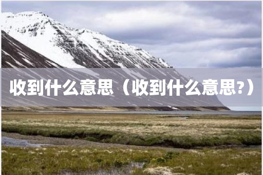 收到什么意思（收到什么意思?）