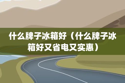 什么牌子冰箱好（什么牌子冰箱好又省电又实惠）