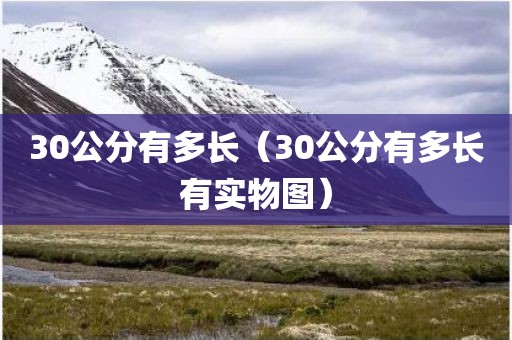 30公分有多长（30公分有多长有实物图）