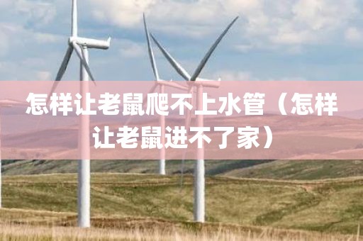 怎样让老鼠爬不上水管（怎样让老鼠进不了家）