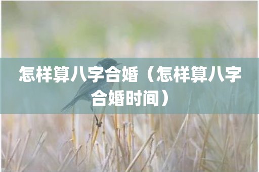 怎样算八字合婚（怎样算八字合婚时间）