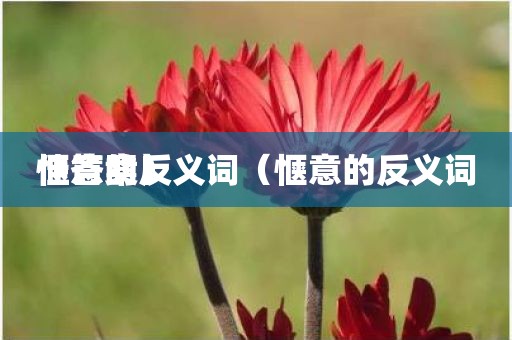 惬意的反义词（惬意的反义词佳答案）