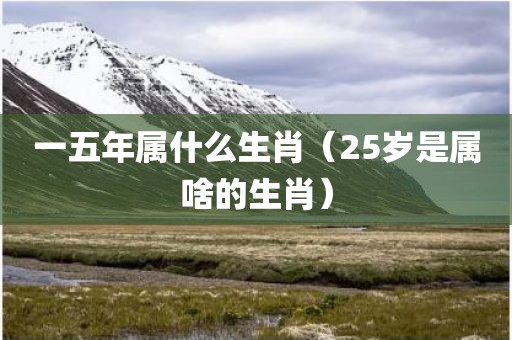 一五年属什么生肖(25岁是属啥的生肖)