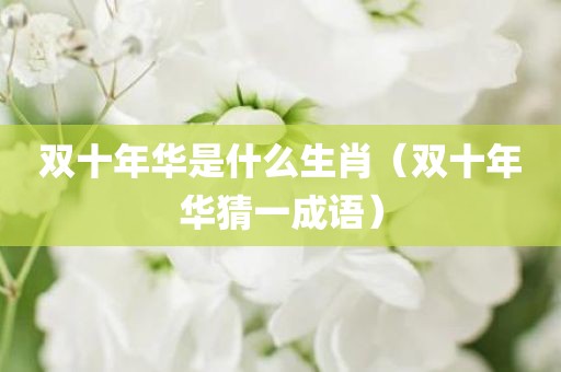 双十年华是什么生肖（双十年华猜一成语）