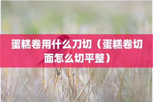 蛋糕卷用什么刀切（蛋糕卷切面怎么切平整）