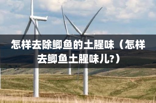 怎样去除鲫鱼的土腥味（怎样去鲫鱼土腥味儿?）