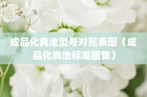 成品化粪池型号对照表图（成品化粪池标准图集）