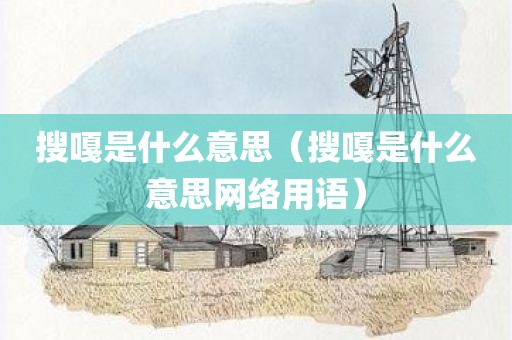搜嘎是什么意思（搜嘎是什么意思网络用语）