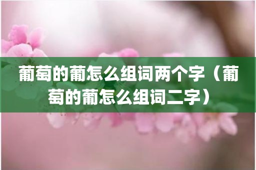 葡萄的葡怎么组词两个字（葡萄的葡怎么组词二字）