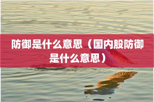 防御是什么意思（国内股防御是什么意思）