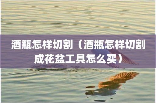 酒瓶怎样切割（酒瓶怎样切割成花盆工具怎么买）