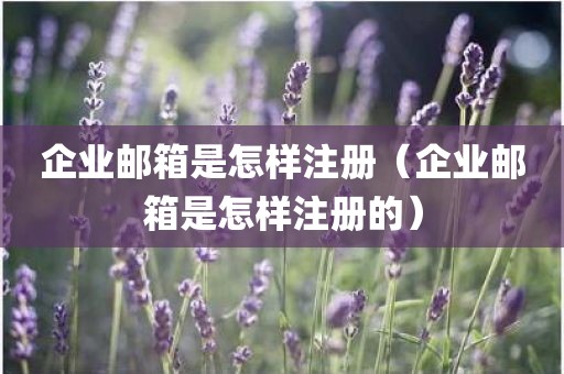 企业邮箱是怎样注册（企业邮箱是怎样注册的）