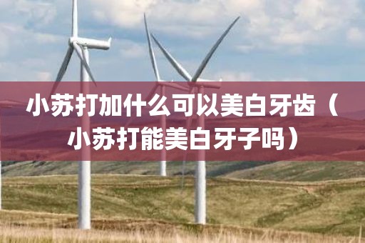 小苏打加什么可以美白牙齿（小苏打能美白牙子吗）