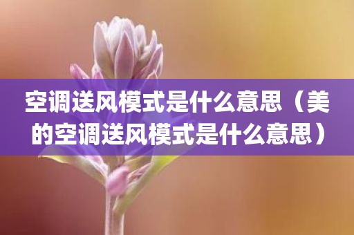 空调送风模式是什么意思（美的空调送风模式是什么意思）