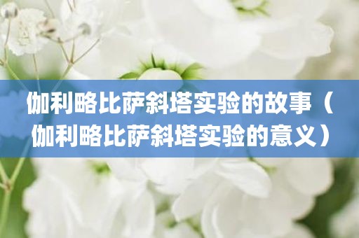 伽利略比萨斜塔实验的故事（伽利略比萨斜塔实验的意义）