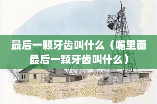最后一颗牙齿叫什么（嘴里面最后一颗牙齿叫什么）
