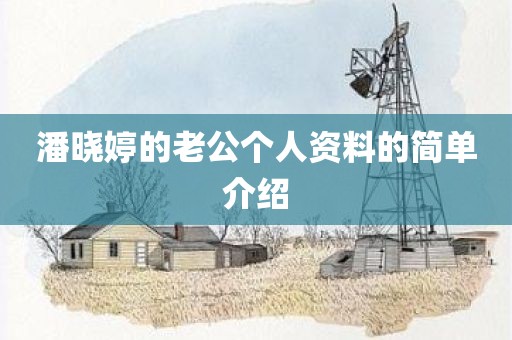 潘晓婷的老公个人资料的简单介绍
