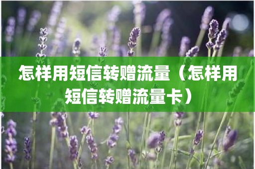 怎样用短信转赠流量（怎样用短信转赠流量卡）
