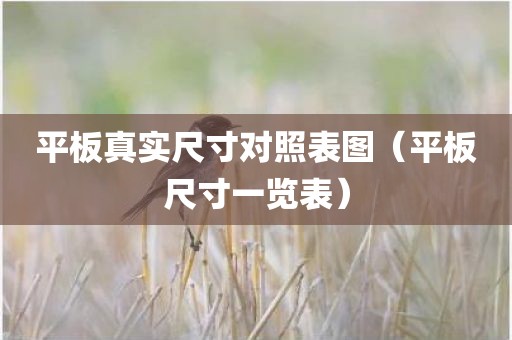 平板真实尺寸对照表图（平板尺寸一览表）